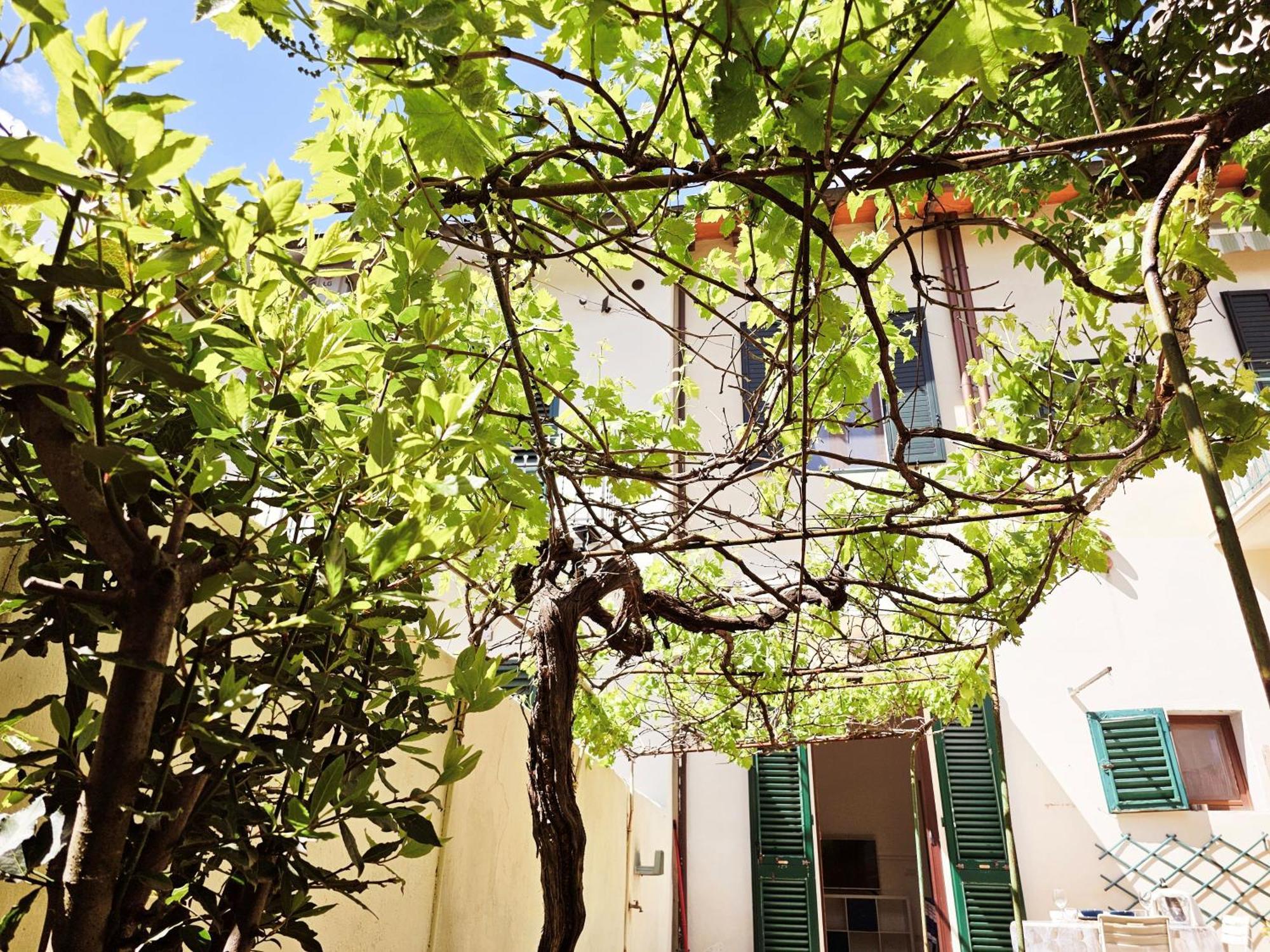 Alice'S Garden Apartment Florenţa Exterior foto